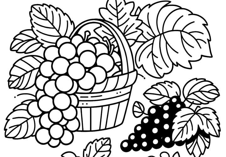 Grape Coloring Template Easy Free Download and Online Coloring