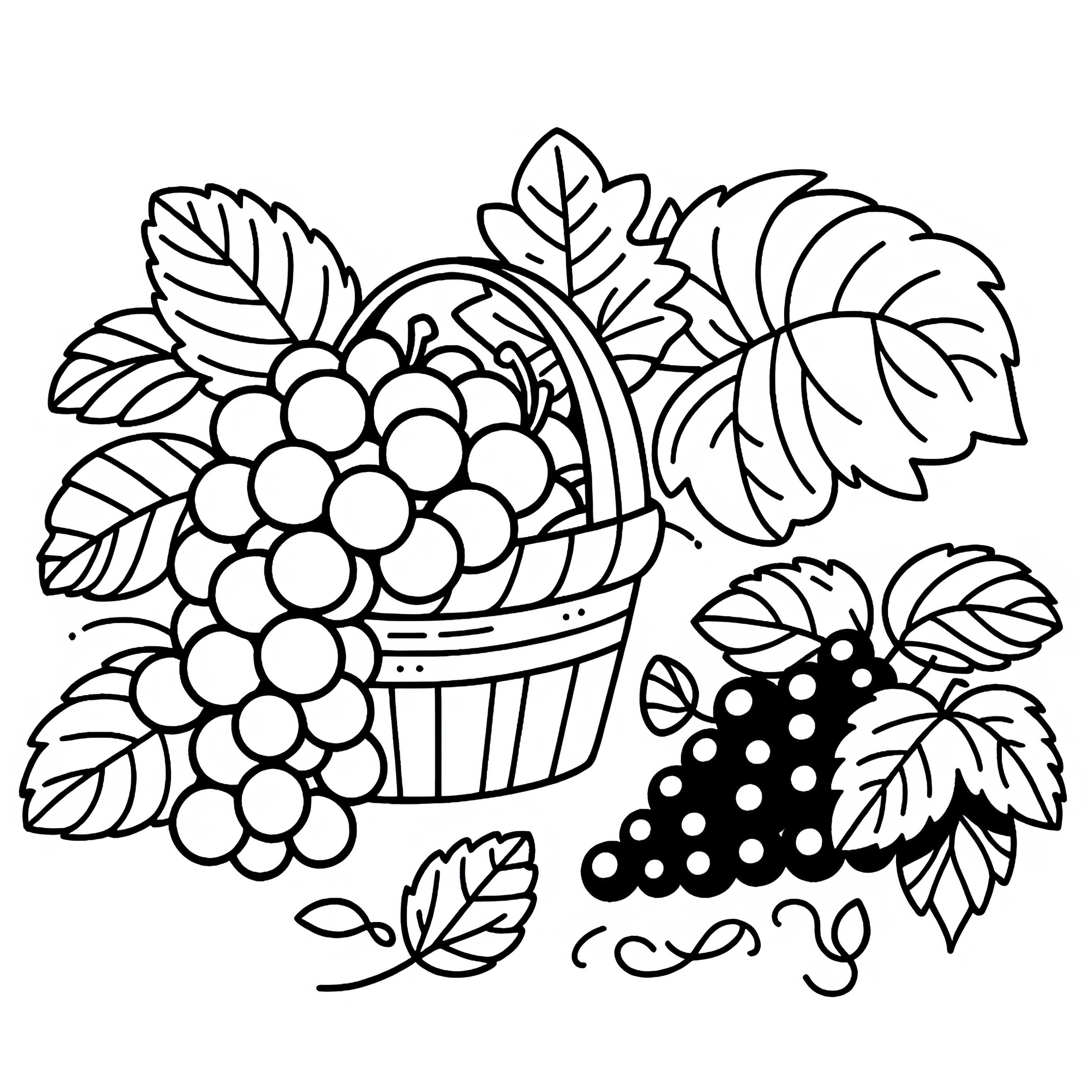 Grape Coloring Page Simple Free Download and Online Coloring