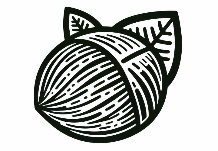 Téléchargement gratuit de modèle de coloriage de noix de bétel