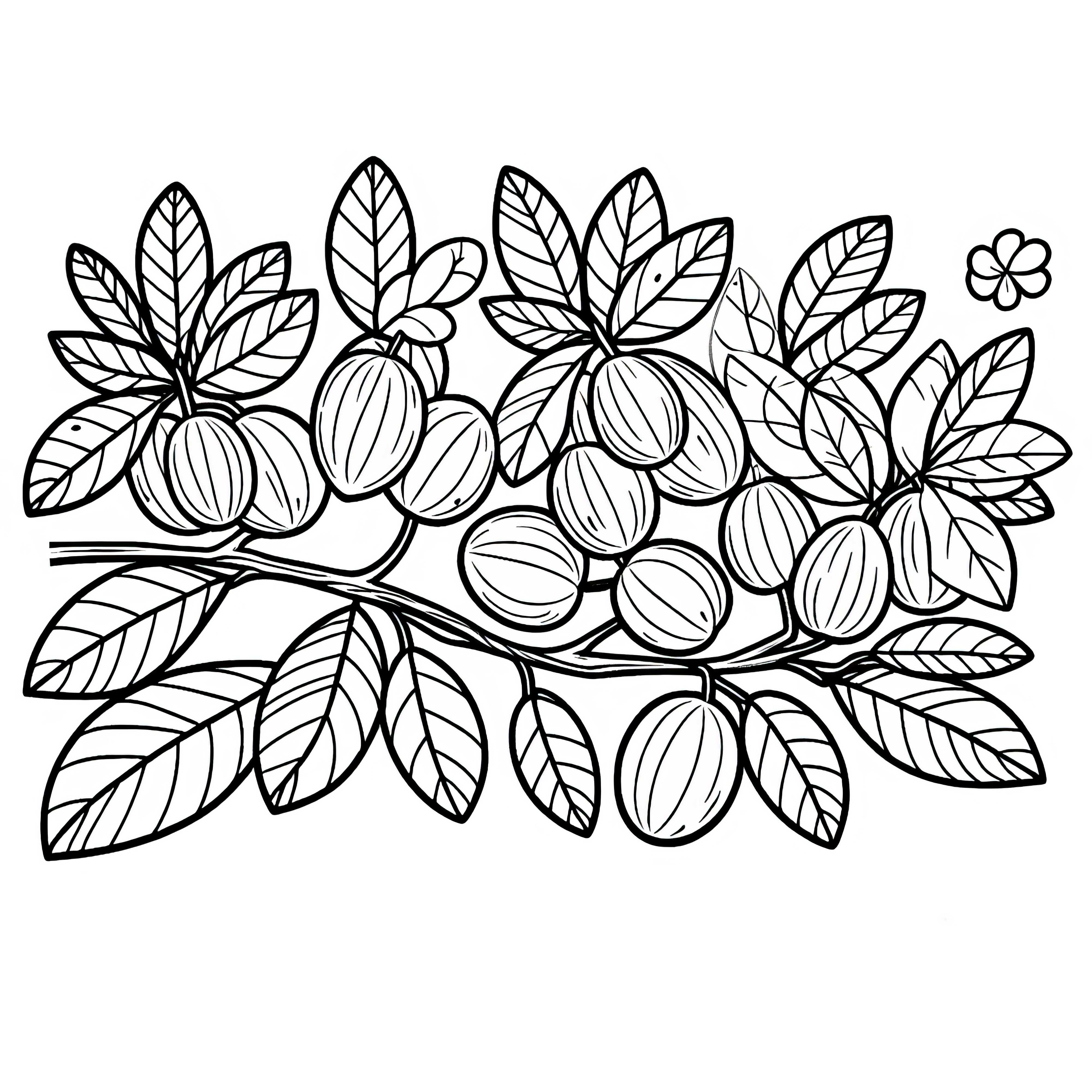 Faux manguier et Hog Plum &ndash; Page &agrave; colorier &agrave; t&eacute;l&eacute;charger gratuitement