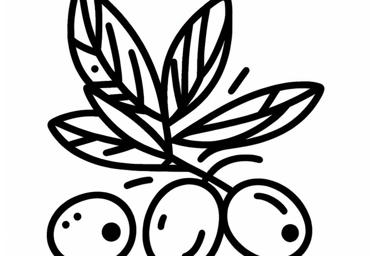 Image à colorier d'olives à télécharger gratuitement