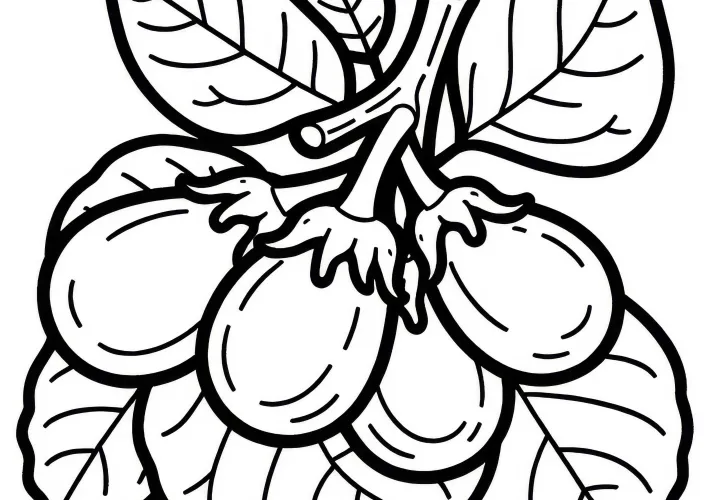 Coloring page Thai Eggplant Free to Download