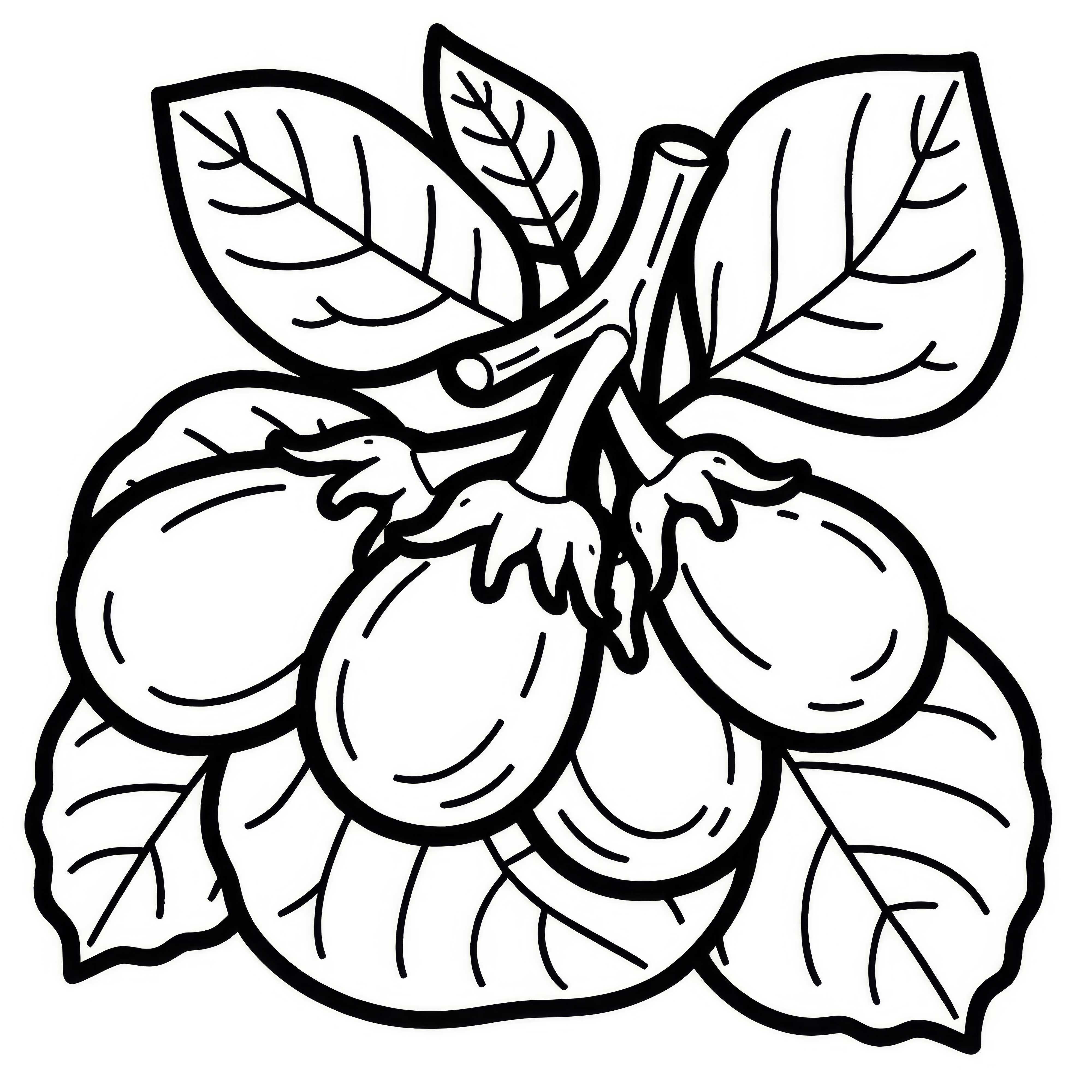 Image &agrave; colorier Aubergine tha&iuml;landaise Gratuit &agrave; t&eacute;l&eacute;charger