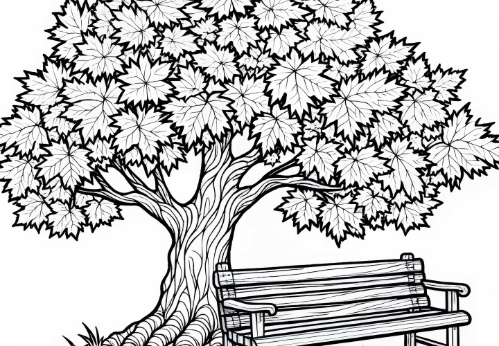 Plantilla para colorear de un viejo banco de madera bajo un arce lleno de hojas, gratuita en otoño