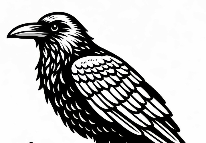 Воробей, воробей, птица в Европе – Раскраска бесплатно