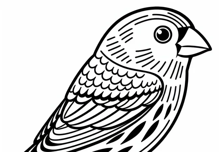 Finch Verde - Pássaro da Europa - Modelo para colorir grátis