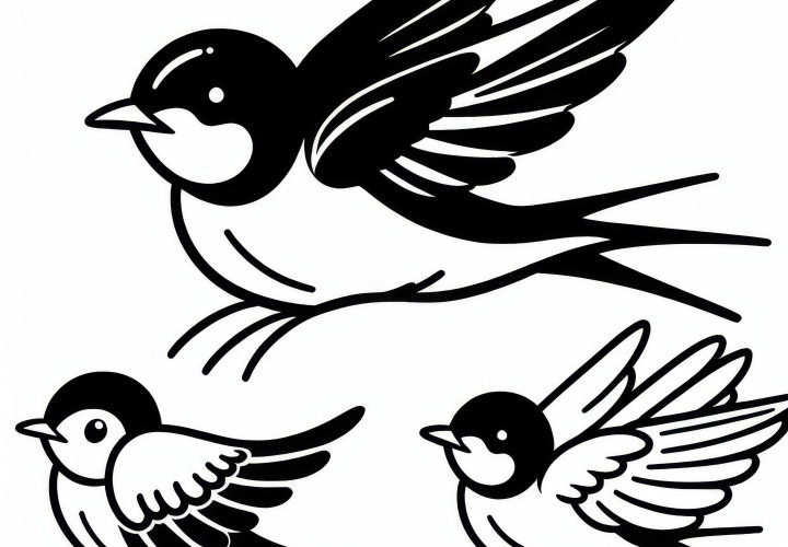 Schwalbe – Țarca de fum – Pasăre în Europa – Imagine de colorat gratuit Swallow – Barn Swallow – Bird in Europe – Pagina de colorat gratuită