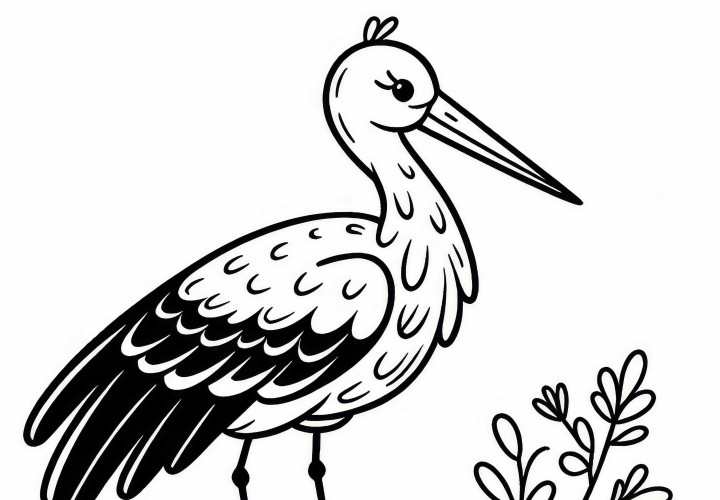 Stork – Europas fugl som malemaleri for farging og nedlasting