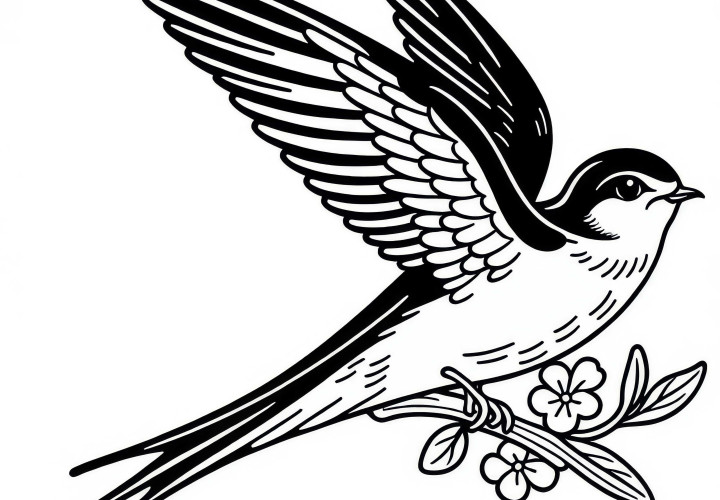 Раскраска для птицы стриж Европа бесплатно