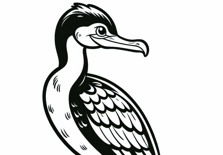 Корморан Птица Европа Раскраска бесплатно