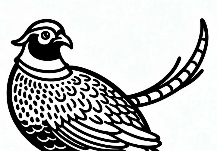 Imagem para colorir de faisão – Europa – Grátis