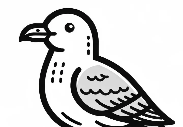Desenho para colorir da gaivota prata Europa grátis