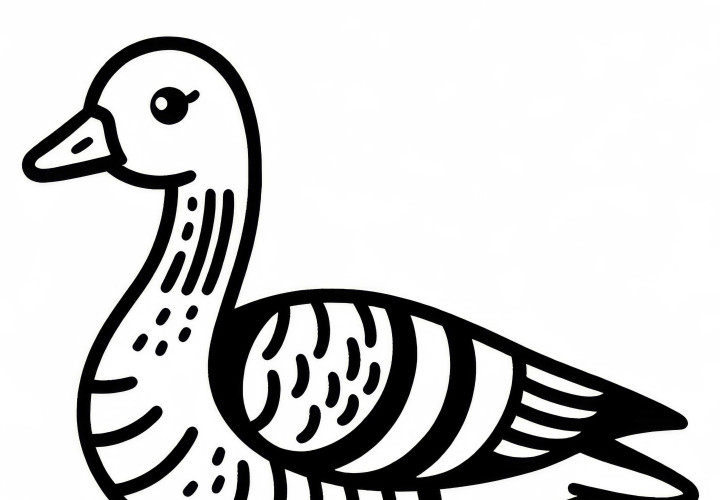 Oie cendrée - oiseau en Europe en tant que image à colorier gratuite