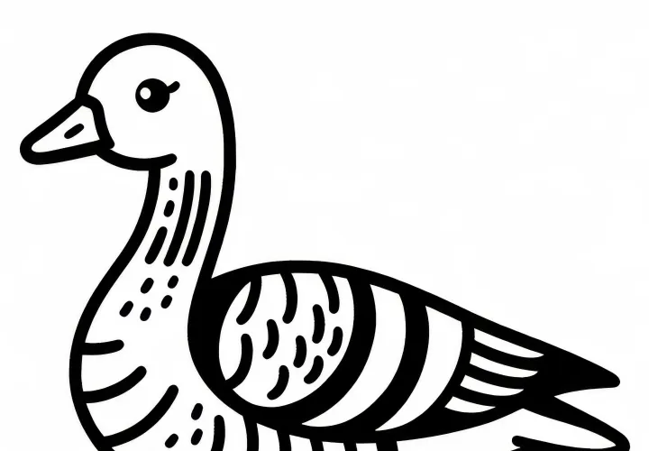 Ganso cinzento – Pássaro na Europa como imagem para colorir gratuita