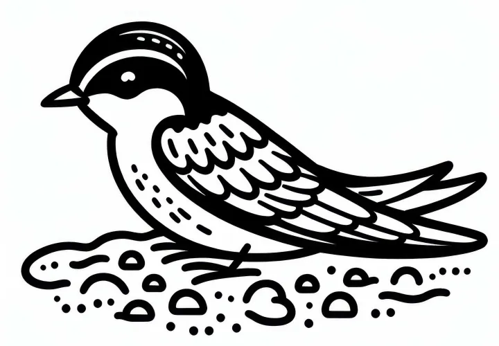 Desenho para colorir de andorinha-das-praias da Europa grátis