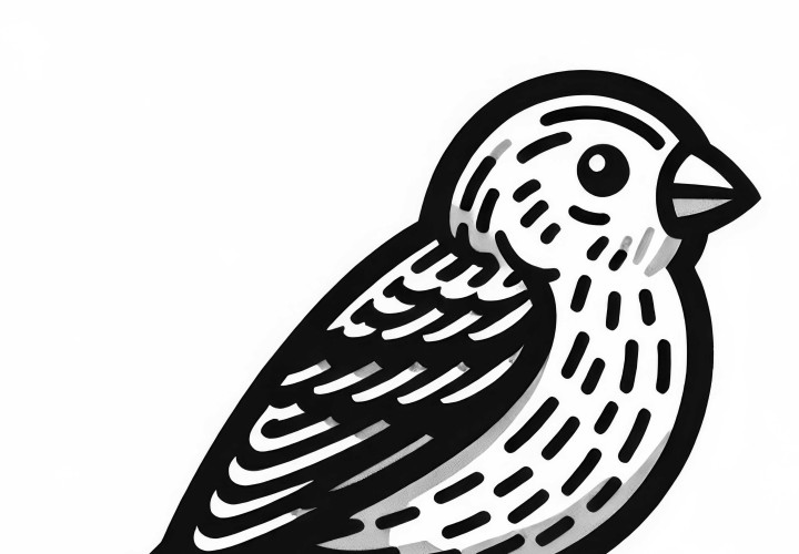 House Finch - Bird from North America - Coloring page for free