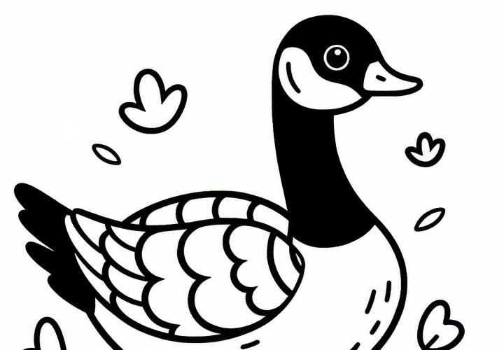 Canadian goose as a coloring page for North America