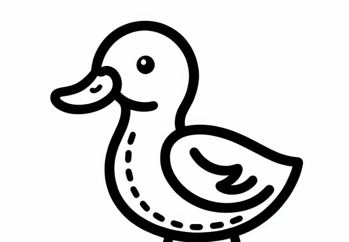 Mallard Duck - Bird from North America - Free Coloring Page
