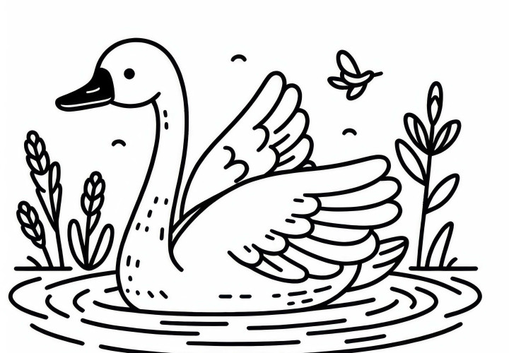 Trumpeter Swan – Bird North America – Coloring Page Free