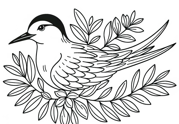 King's Sparrow and Royaltern – Exclusive coloring page for bird lovers from North America