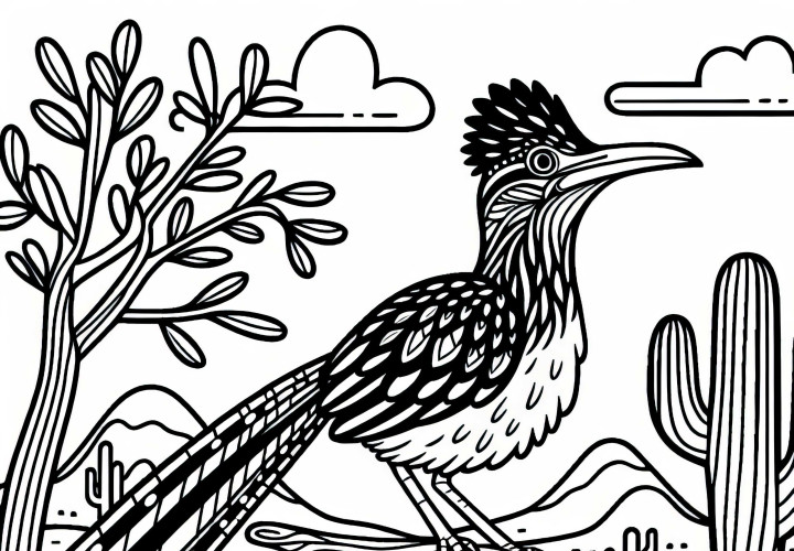 Greater Roadrunner bird from North America coloring page