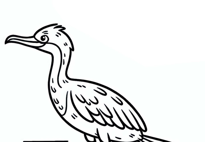 Cormorant – Double-Crested Cormorant bird from North America – Free coloring page