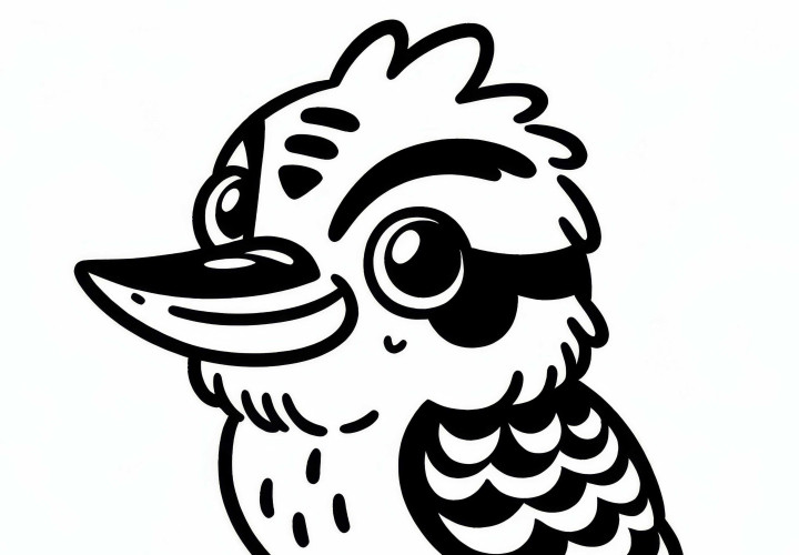 Kookaburra - Laughing Jackass - Bird from Australia - Oceania - Free coloring page