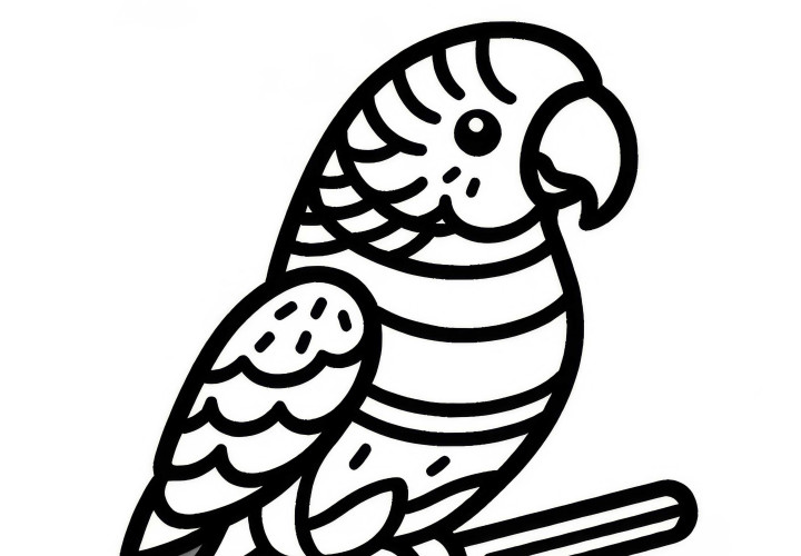 Parrots, Rainbow Lorikeet, bird from Australia and Oceania - Free coloring page