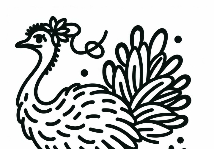 Emu Bird Australia Oceania Coloring Page Free Download