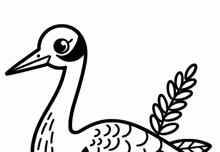 Brolga crane - Brolga - Bird - Australia - Oceania - Coloring page - Free