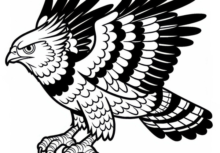 Harpy Eagle Bird South America Coloring Page Free