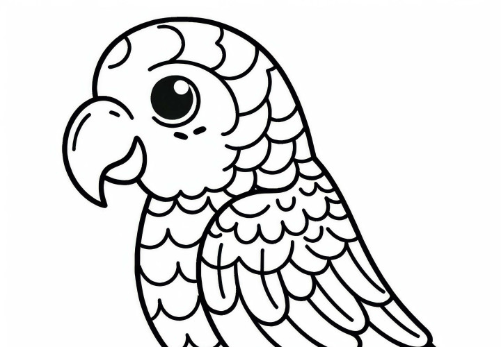 Amazon parrot as a coloring template for birds in South America available for free download