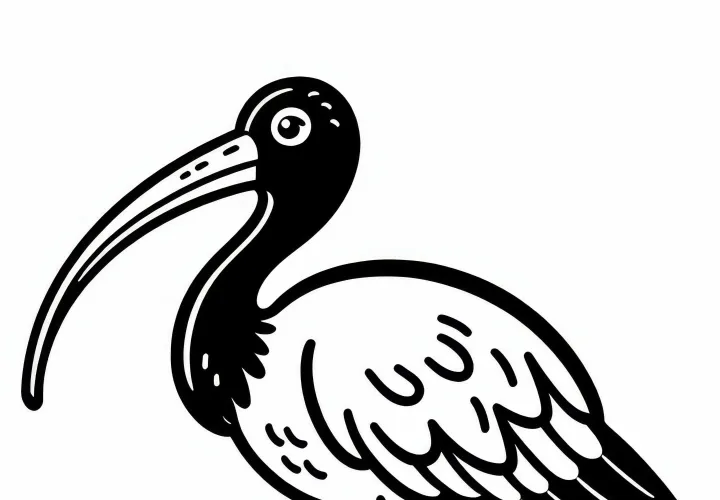 Barvna slika škrlatnega ibisov – Brezplačna ptičja motiv iz Južne Amerike