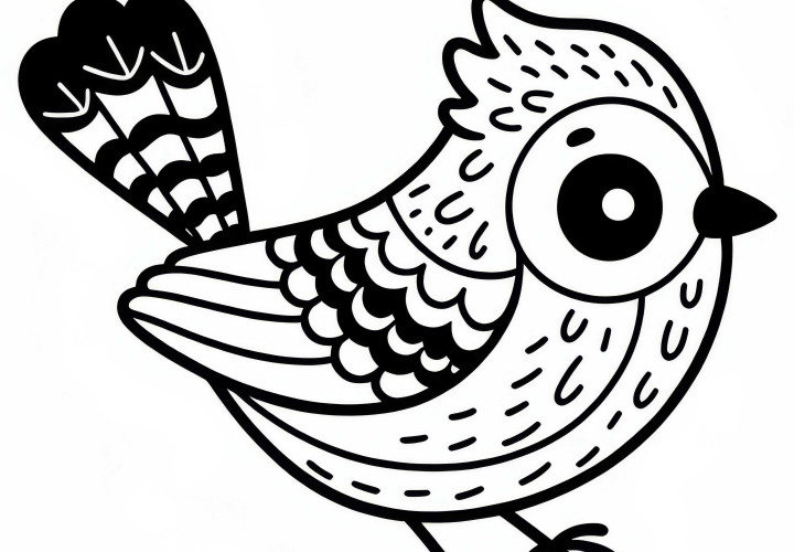 Brown Jay - A bird from South America as a free coloring page