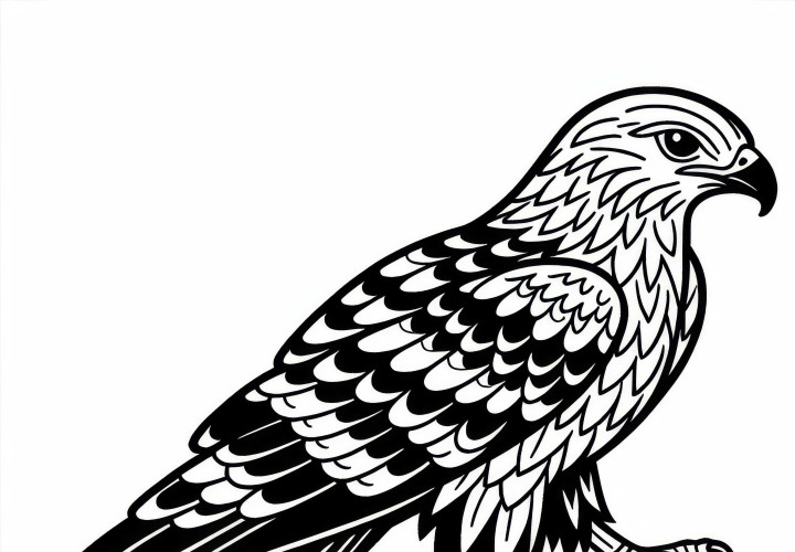 Black Kite Bird Asia Coloring Page Free