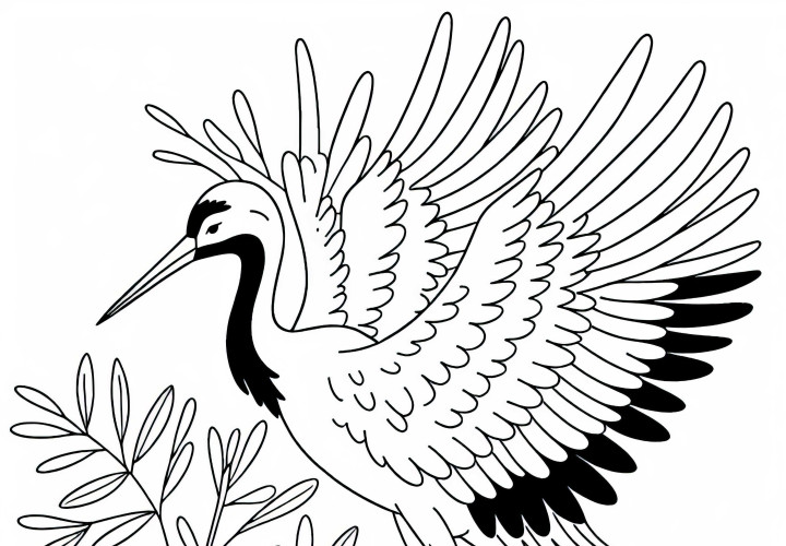 Cranes Bird Asia coloring page free