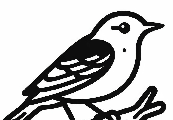 Blue Rock Nuthatch - Coloring page of a bird from Asia for free download