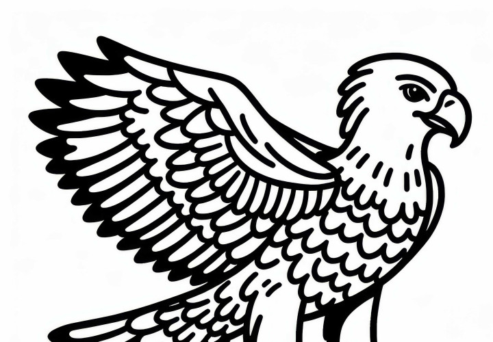 White-bellied Sea Eagle – Coloring page for birds in Asia