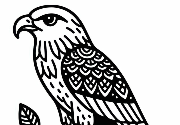 Brahminy Kite: Brahminy Kite Bird in Asia - Free Coloring Page