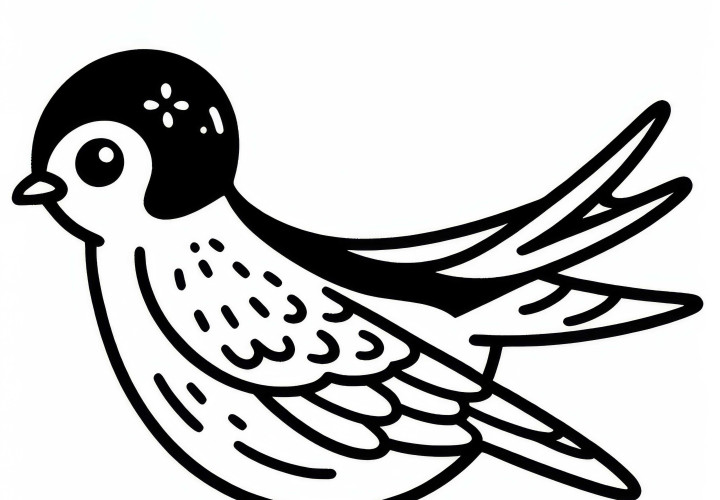 Barn Swallow: Bird from Asia – Free coloring page