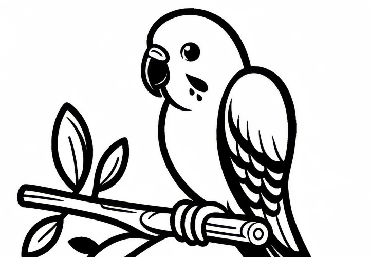 Singsittich and Plum-headed Parakeet – Bird in Asia as a free coloring page