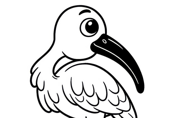 Red Naped Ibis – Download a coloring page of a red naped ibis from Asia for free