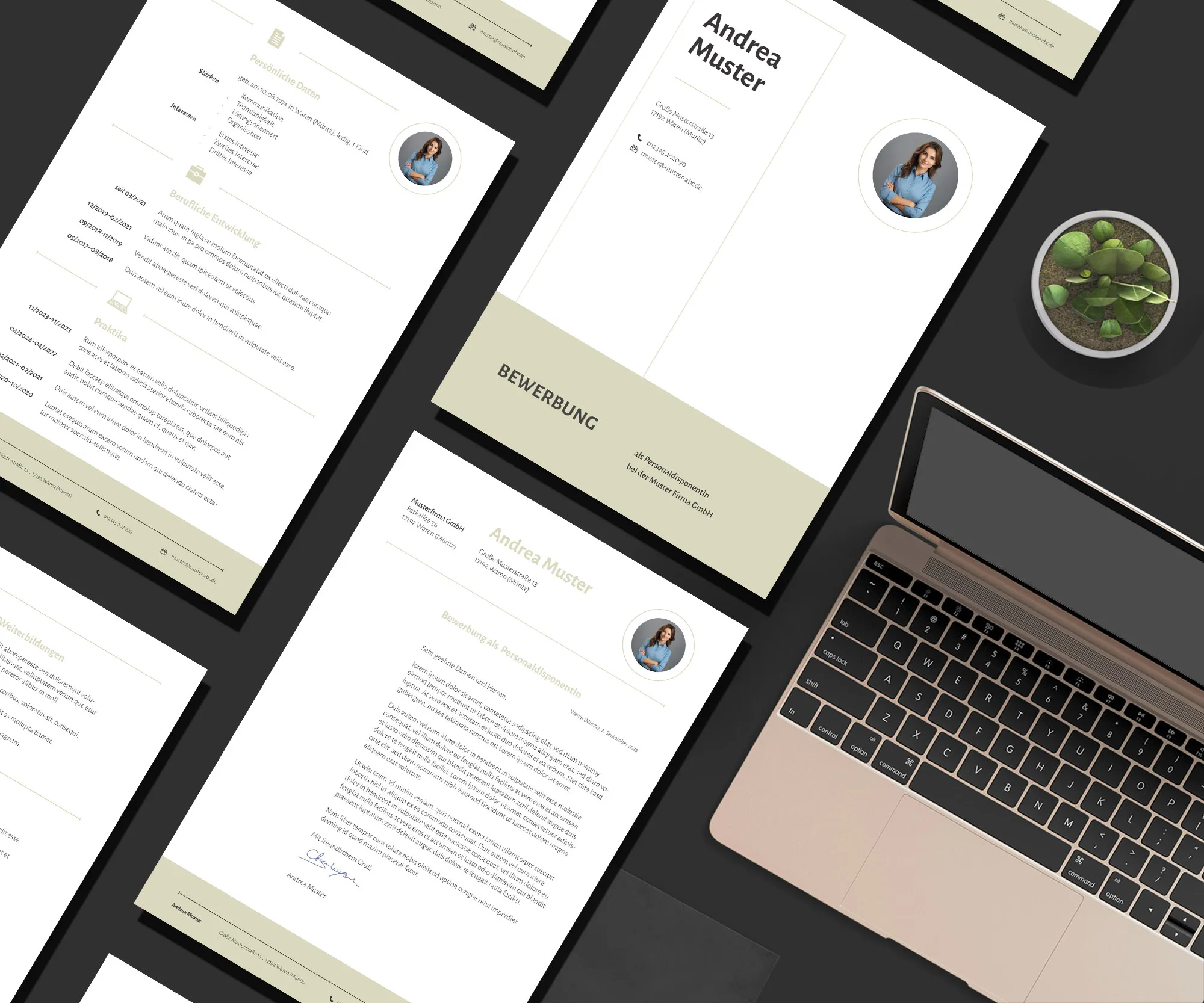 Application as Complaints Manager: Template for cover letter and resume for download