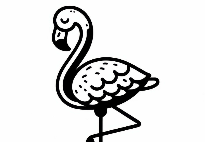 Фламинго птица в Африке раскраска бесплатно