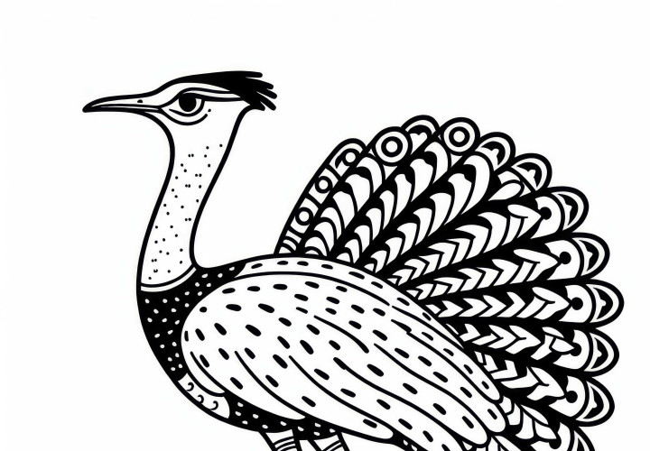 Гигантский землеройка: Кори-дербник в Африке как раскраска