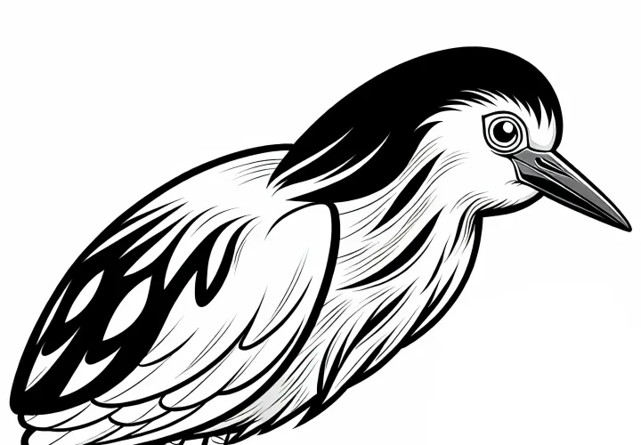 Brahmin žerjav – Squacco Heron – Ptica – Afrika – Barvna slika – Brezplačno