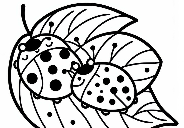 Two ladybugs are sitting next to each other on a leaf: Free coloring page Two ladybugs are sitting next to each other on a leaf: Free coloring page