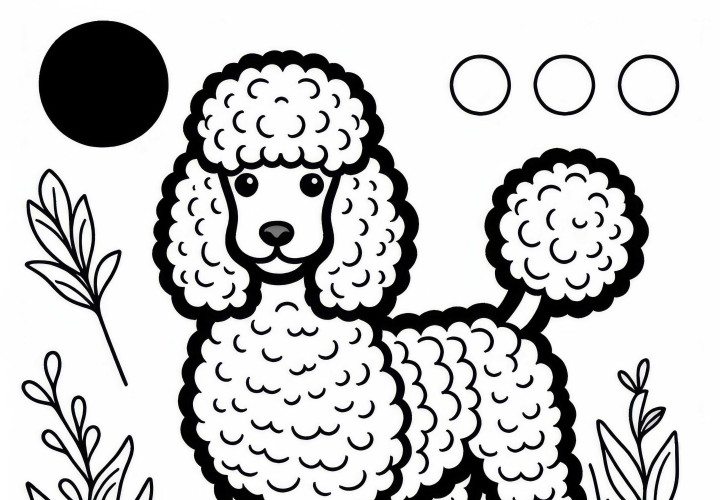 Poodle modelo de coloração de cachorro grátis