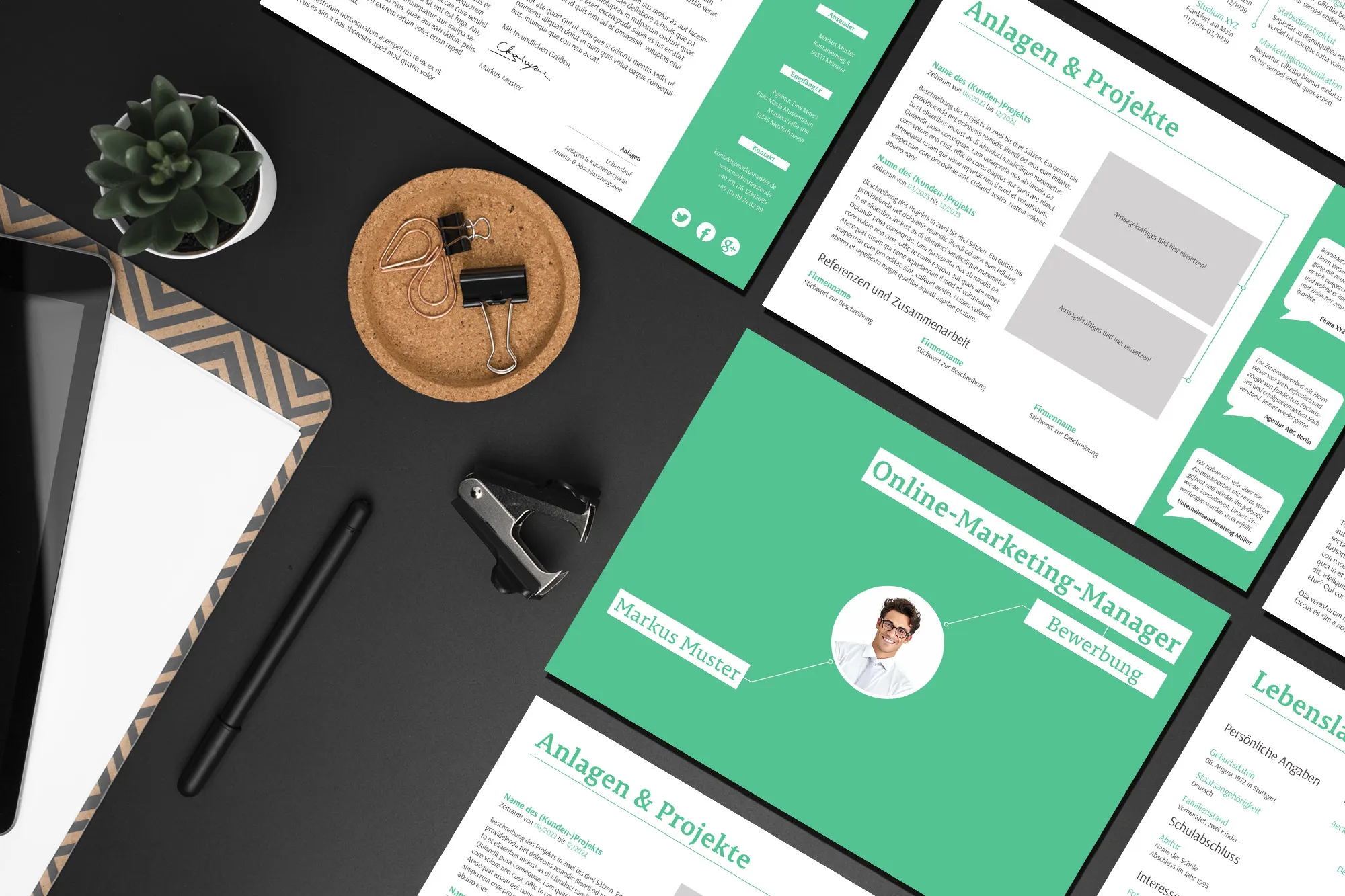 Sollicitatie als Paraveterinair: sjabloon van motivatiebrief en curriculum vitae voor download