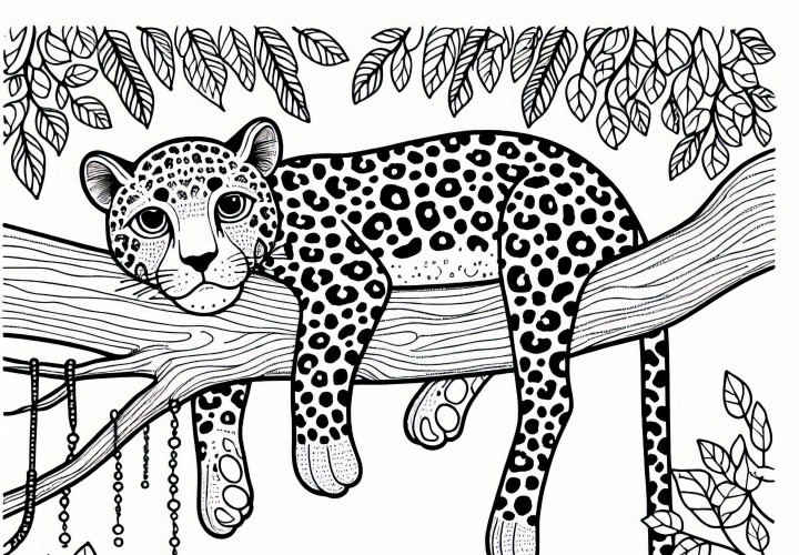 Leopard stă pe o ramură de copac – Pagină de colorat gratuit